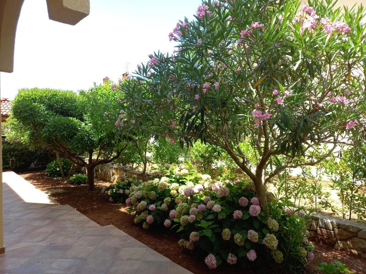 Olea Ii Krk * Krk Town